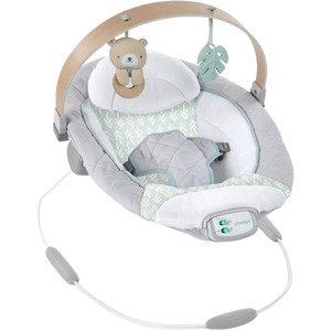 טרמפולינה Ingenuity Cozy Spot