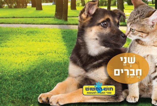 חוש המישוש - שני חברים מאת תמר הלברג-רוג