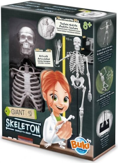 ערכת משחק ולמידה שלד 45 ס''מ מבית Buki France