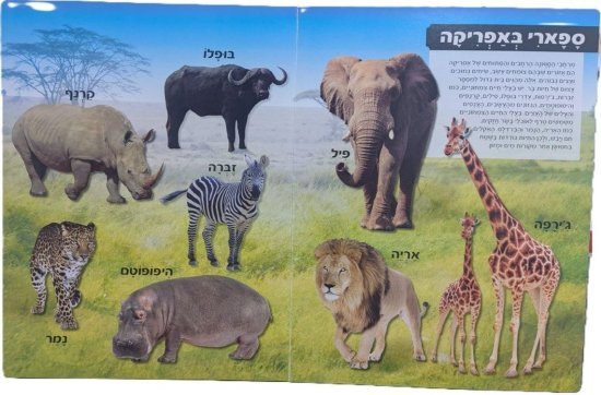 עולם החיות מבית קוראים