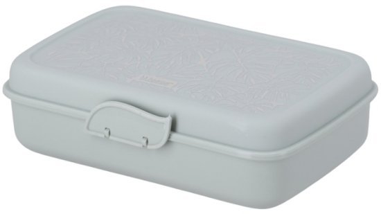 קופסת אוכל מחולקת מבית Minene - עלים ירוקים