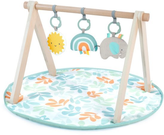 משטח משחקים ופעילות מבית Ingenuity